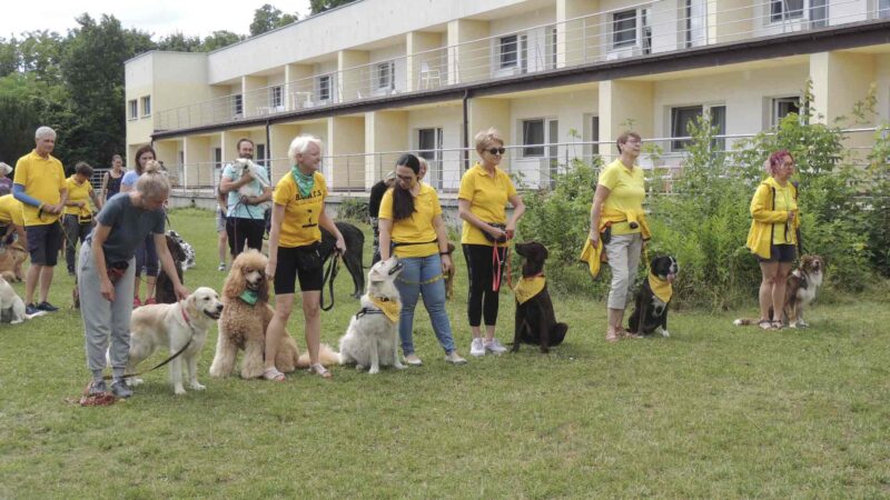 Pastel inserito nel portale delle Migliori Pratiche Europee sulla Salute Mentale